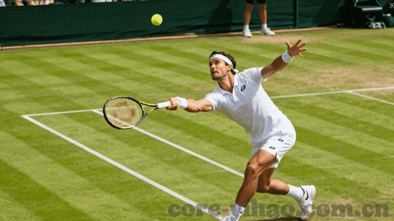 温格与2022年世界杯-温格与2022年世界杯，足球智慧与激情的碰撞